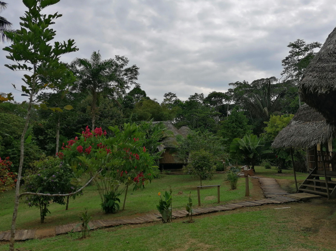 Yasuní Lodge Tours景点图片