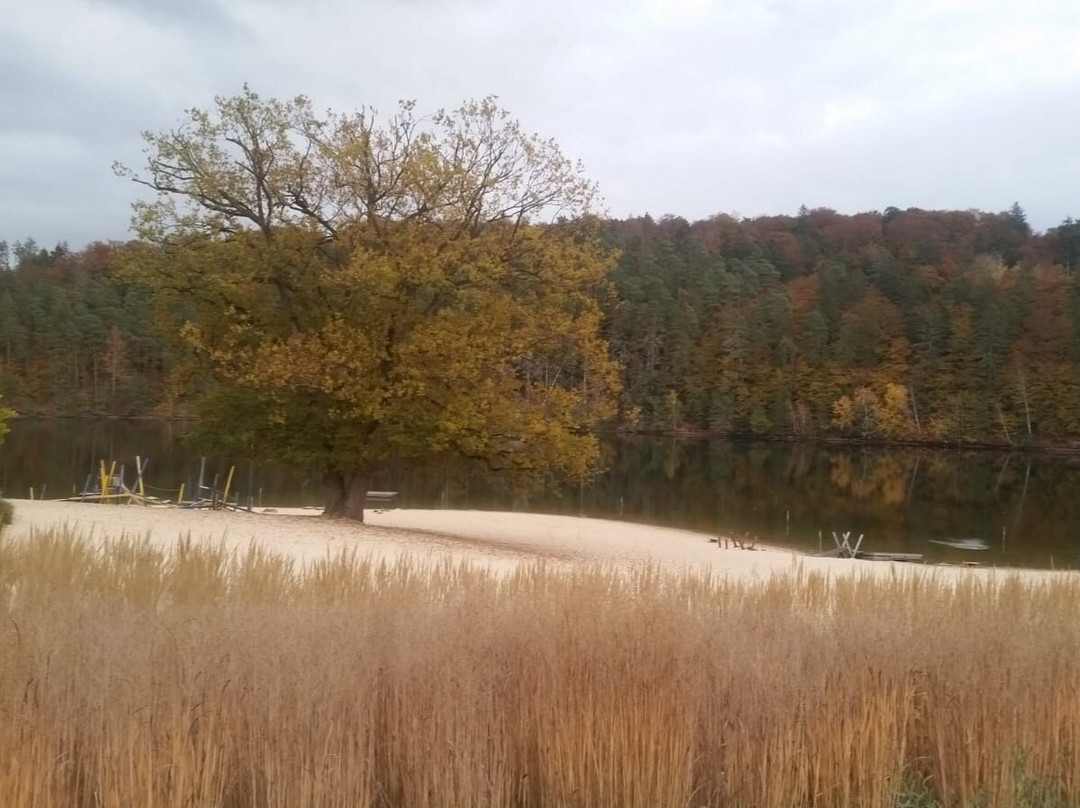 Twistestausee-Bad Arolsen必去景点