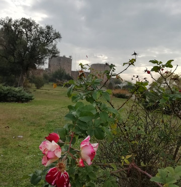 Eskihisar Kalesi-Gebze必去景点