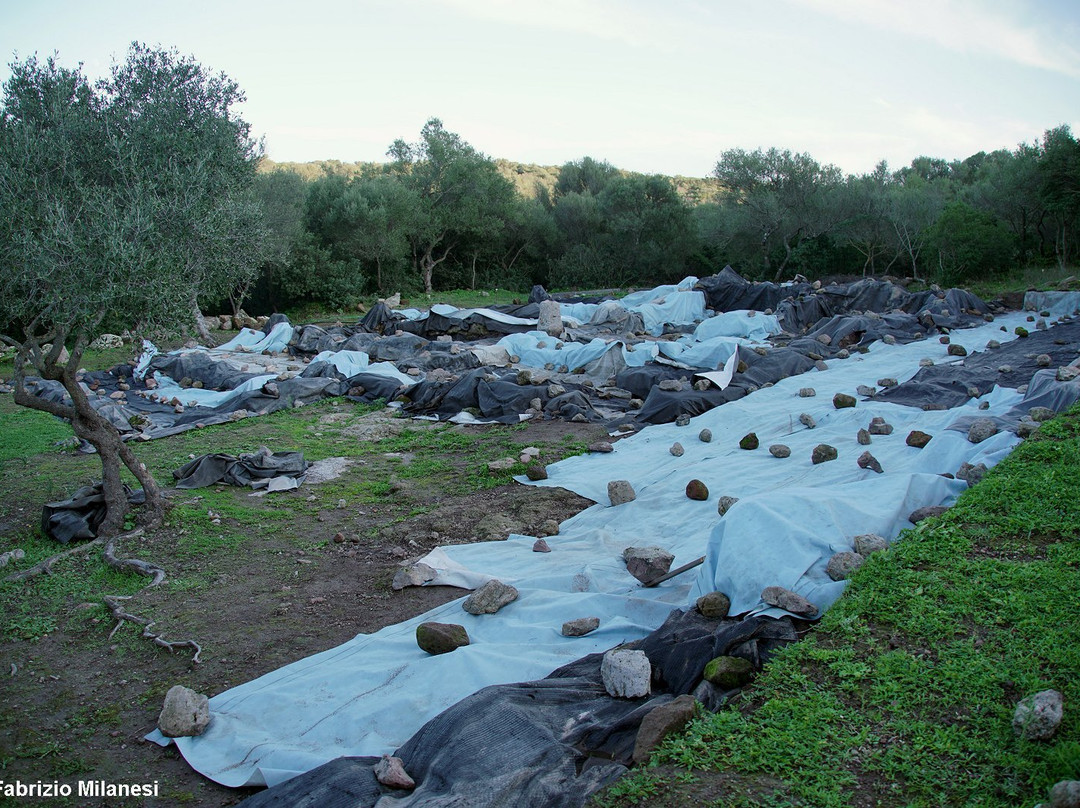 L'insediamento di Pani Loriga-Santadi必去景点