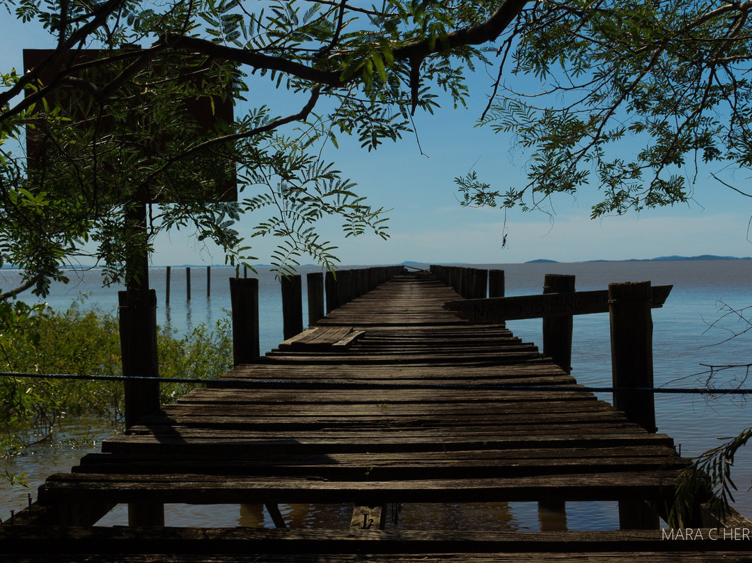Parque Estadual De Itapua景点图片