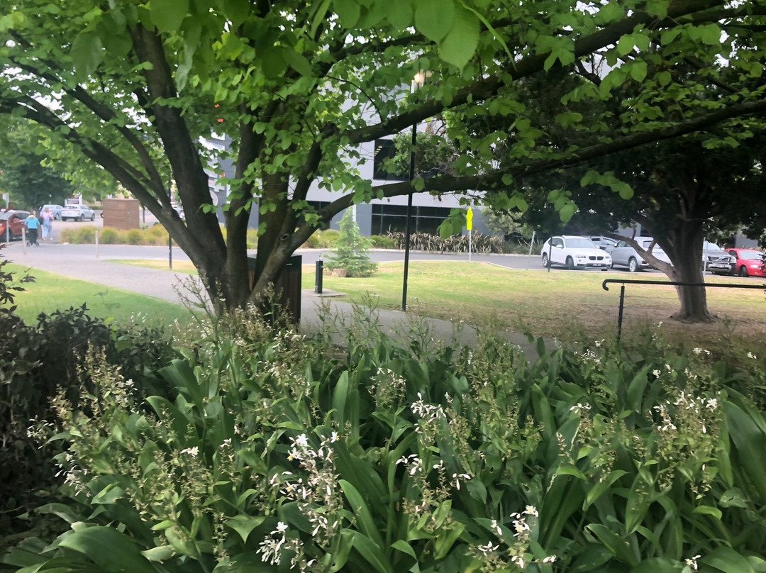 Hawthorn Library-霍索恩必去景点