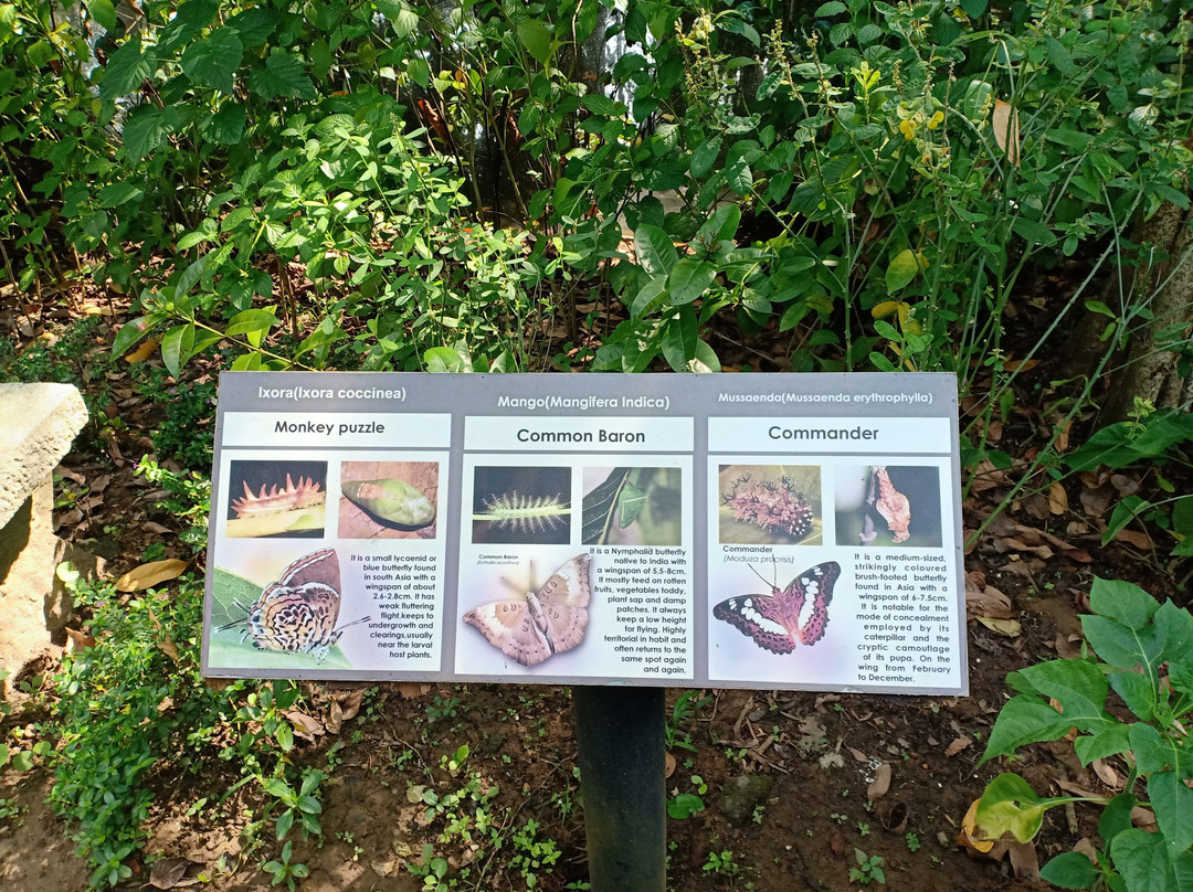 Coconut Lagoon, CGH Earth主图