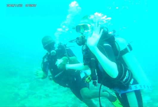 Blue-Fin Diving-马林地必去景点