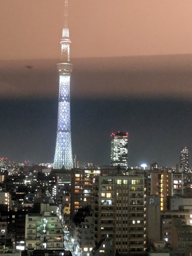 东京东武雷庞德酒店-酒店景观