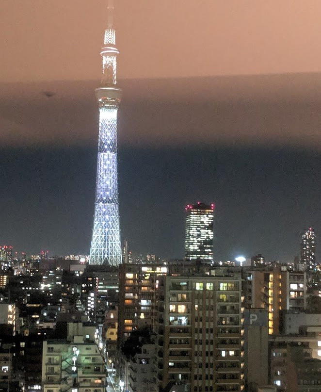 东京东武雷庞德酒店主图