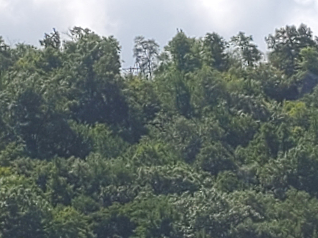 Chimney Rocks Park景点图片