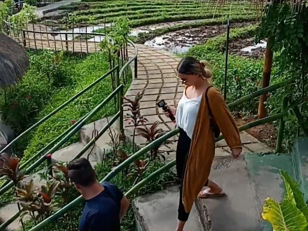 Aloha Ubud Swing-乌布必去景点