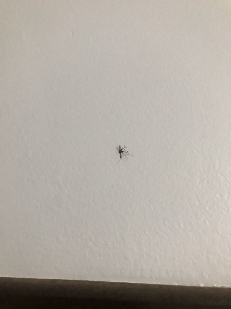 Executive Hotel-官方