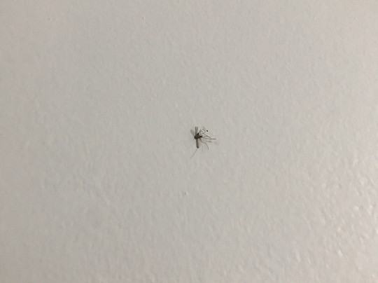 Executive Hotel主图