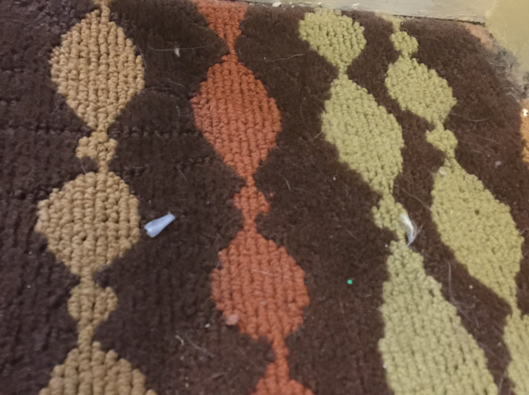 La Quinta Inn & Suites by Wyndham Florence主图