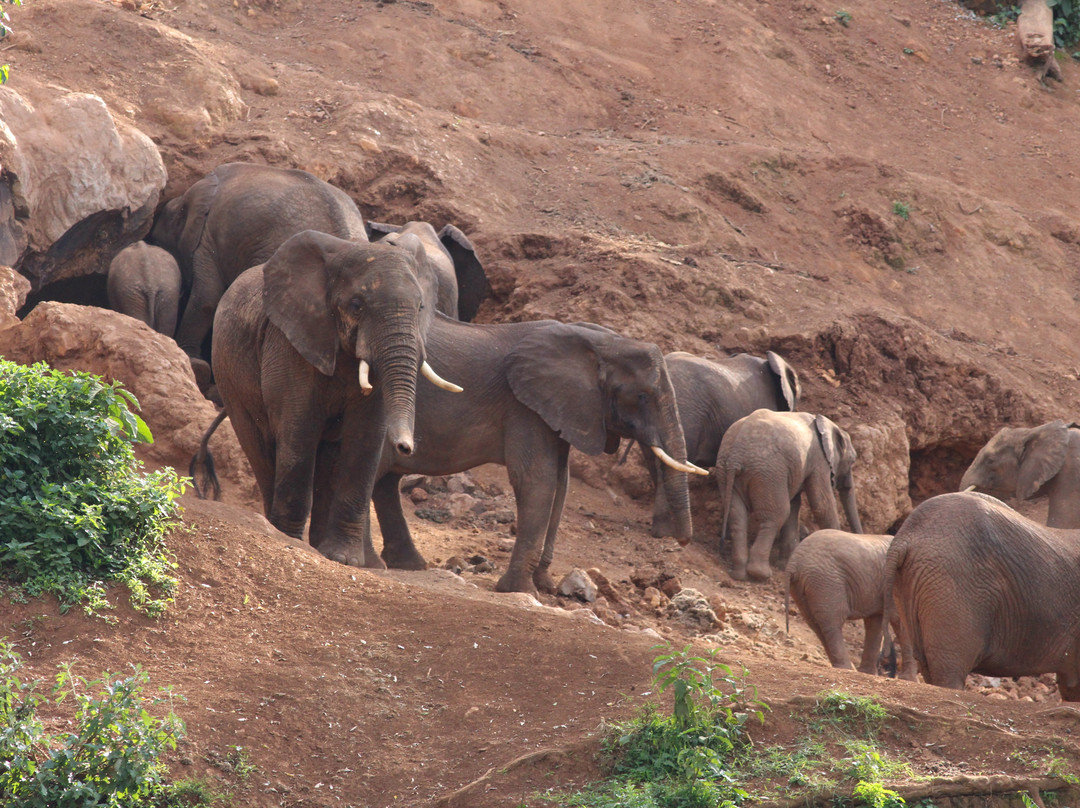 Elephant Caves-卡拉图必去景点