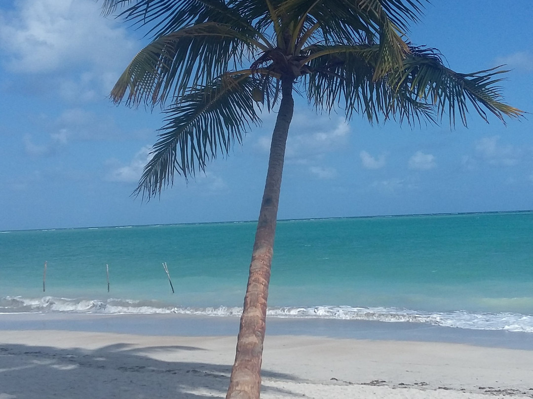 Antunes Beach-Maragogi必去景点