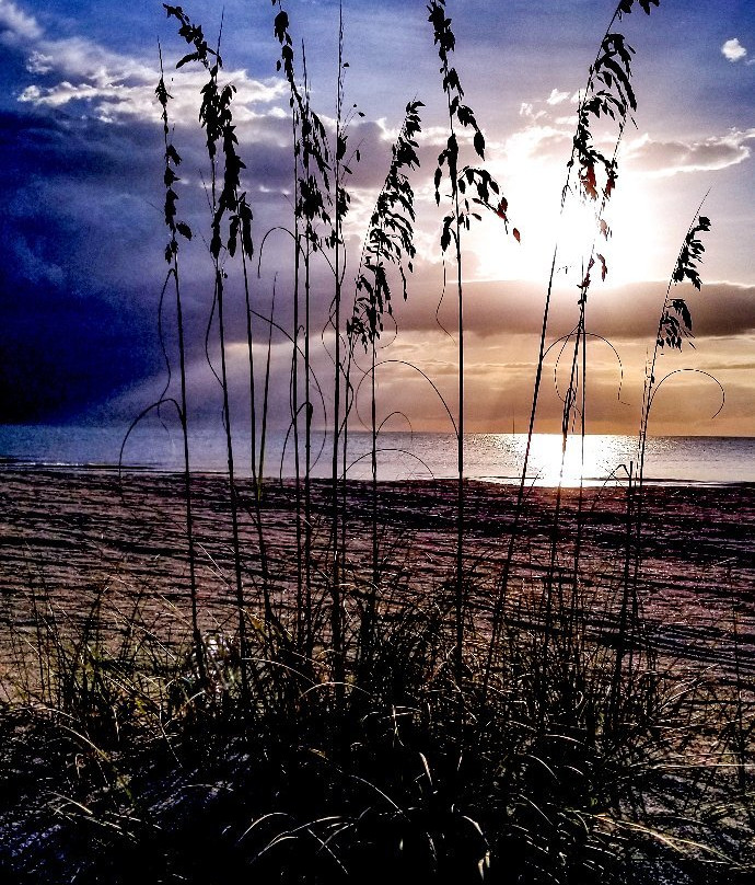 Redington Shores Beach Access景点图片