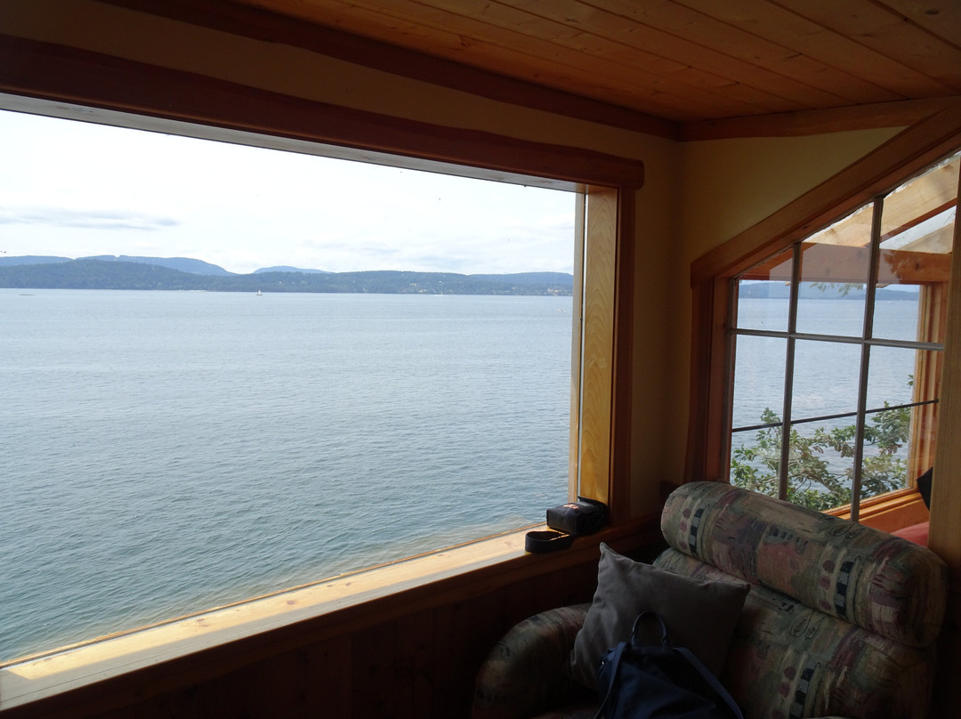 Treehouse Bed & Breakfast主图