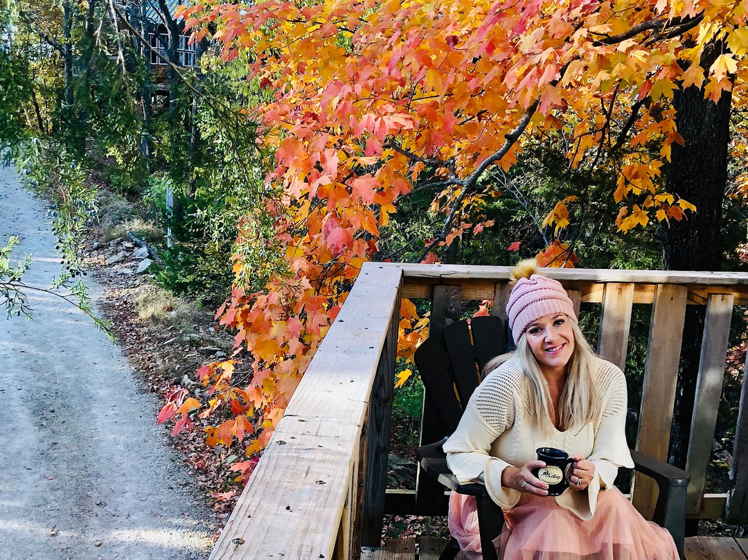 The Cottage | Treehouses & Cabins主图