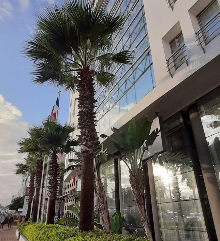 宜必思卡萨布兰卡西迪马鲁夫酒店主图