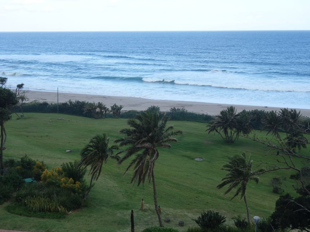 Wild Coast Sun主图