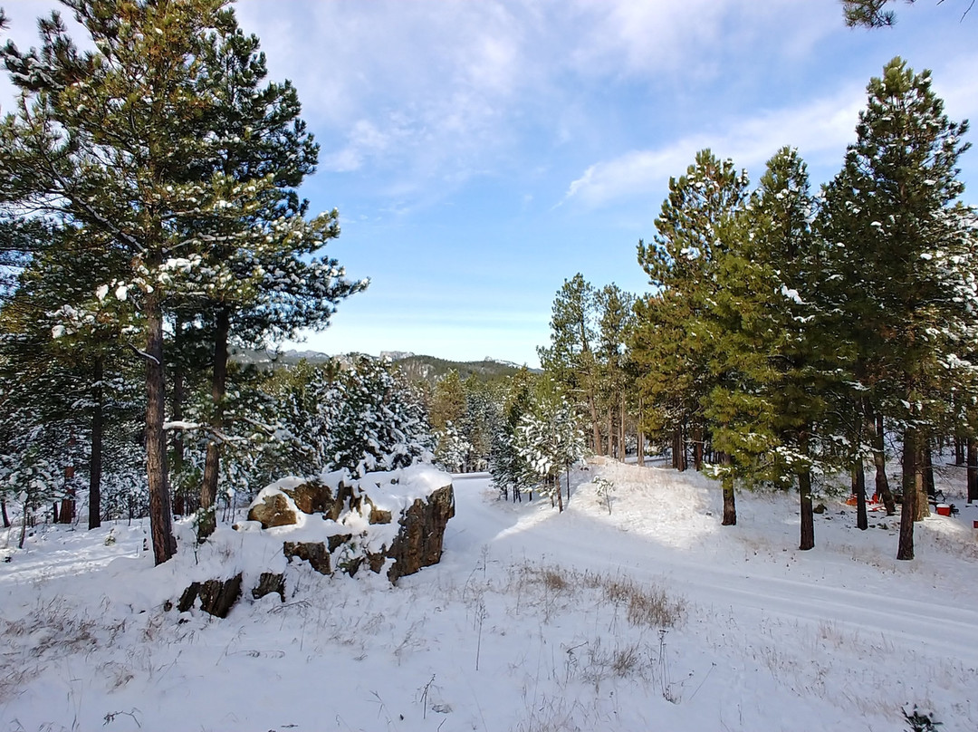 Buffalo Rock Lodge & Cabins主图