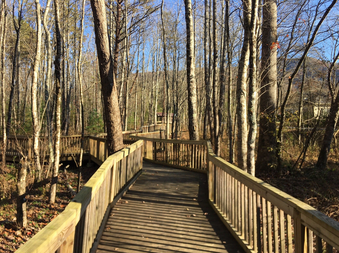 Cupid Fall Park-Young Harris必去景点