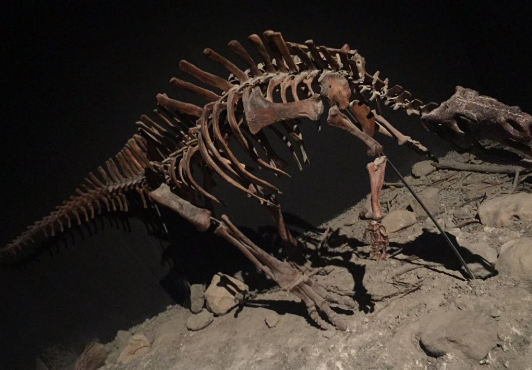 Bait Al-Baranda-马斯喀特必去景点