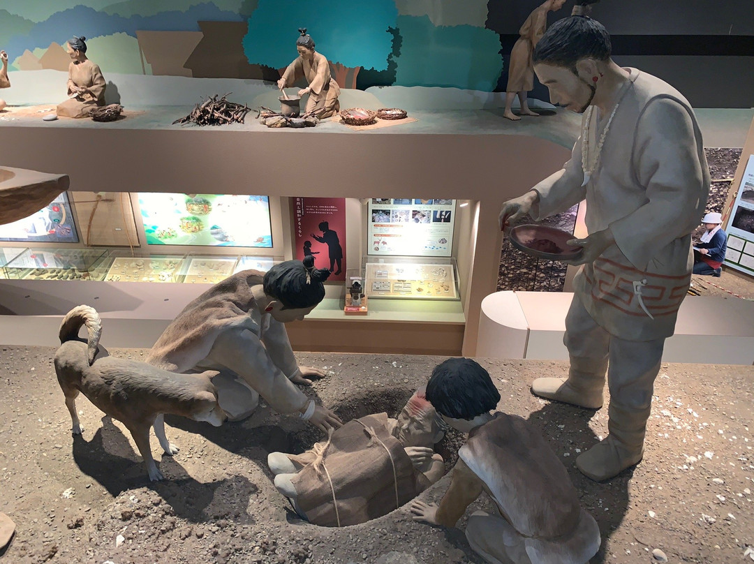 Yoshigo Kaizukashiseki Park-田原市必去景点