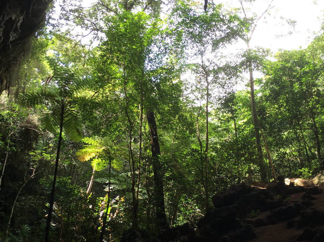 Grotte de Hortense-Ile Des Pins必去景点