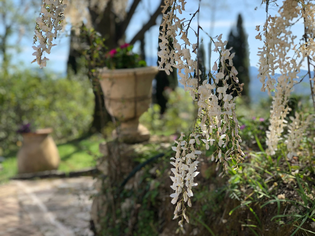Capodistrias Museum - Kapodistrias Museum-Evropouli必去景点