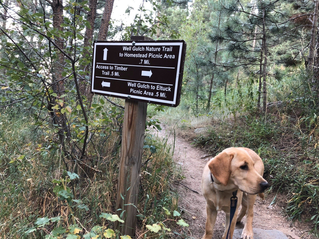 Lory State Park-Bellvue必去景点