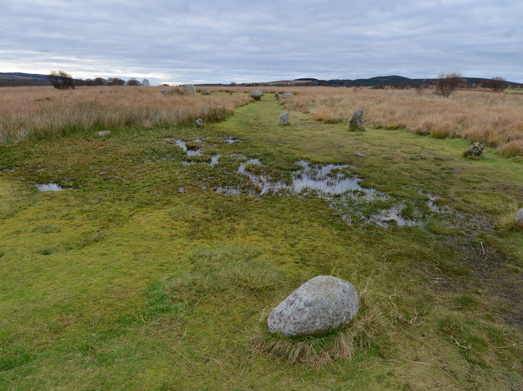 Machrie Moor Stone Circles景点图片