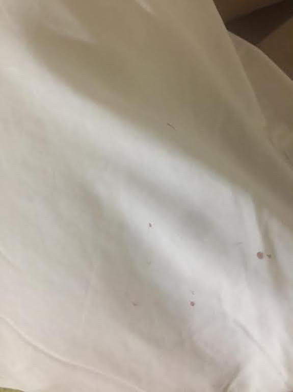 Spark By Hilton Savannah South I-95主图