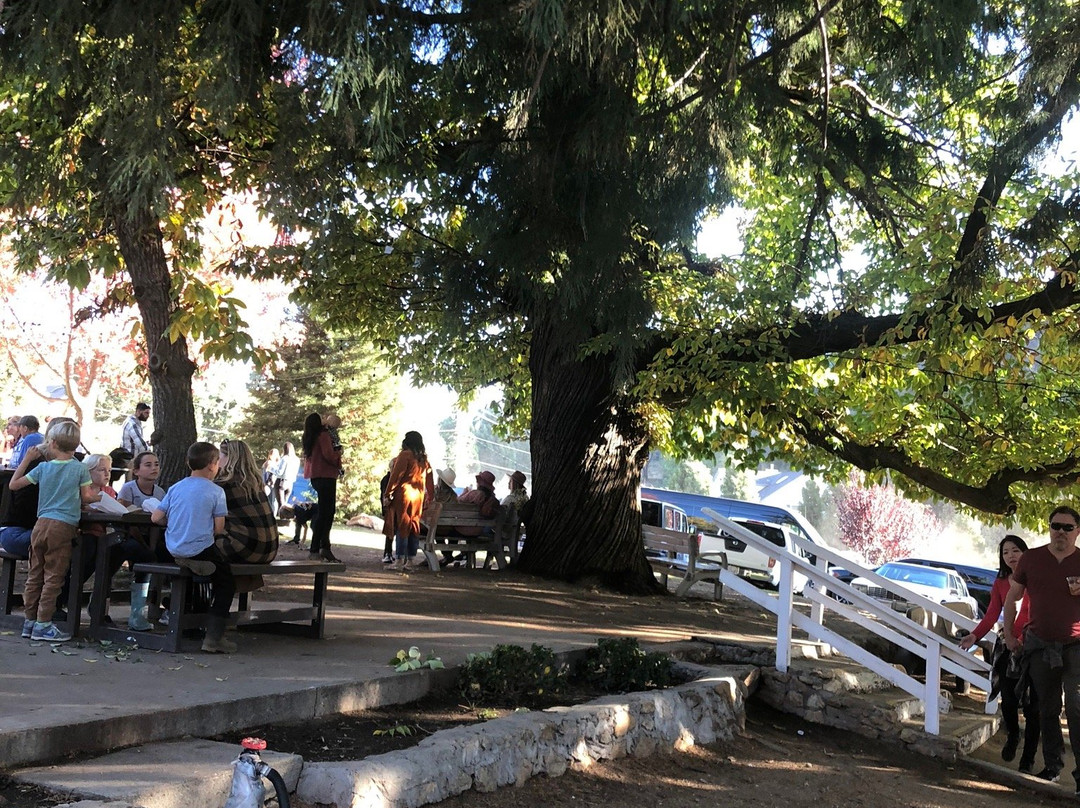 Snowline Apple Orchard-Oak Glen必去景点