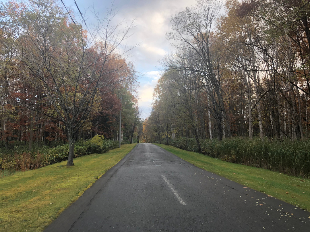 Asahikawa Takasu Golf Club-鹰栖町必去景点