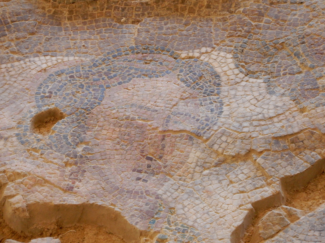 Villa Romana De Orpheus-Camarzana de Tera必去景点