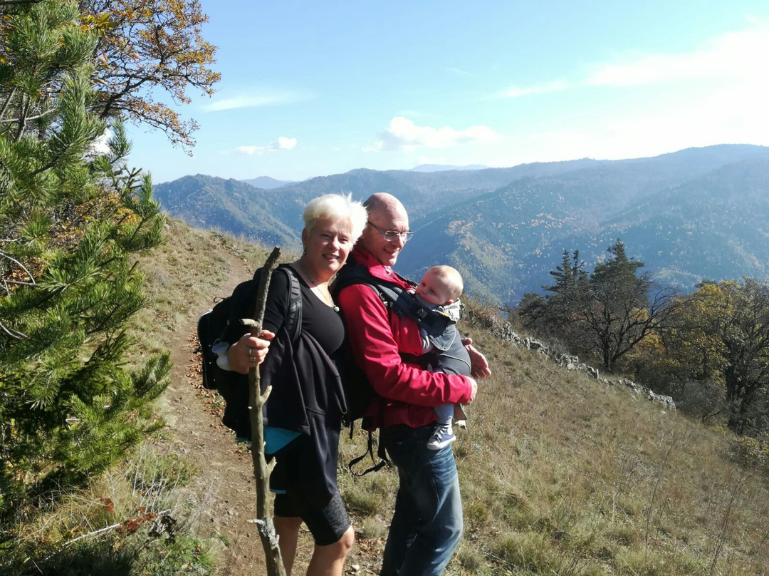 Borjomi-Kharagauli National Park-Borjomi必去景点