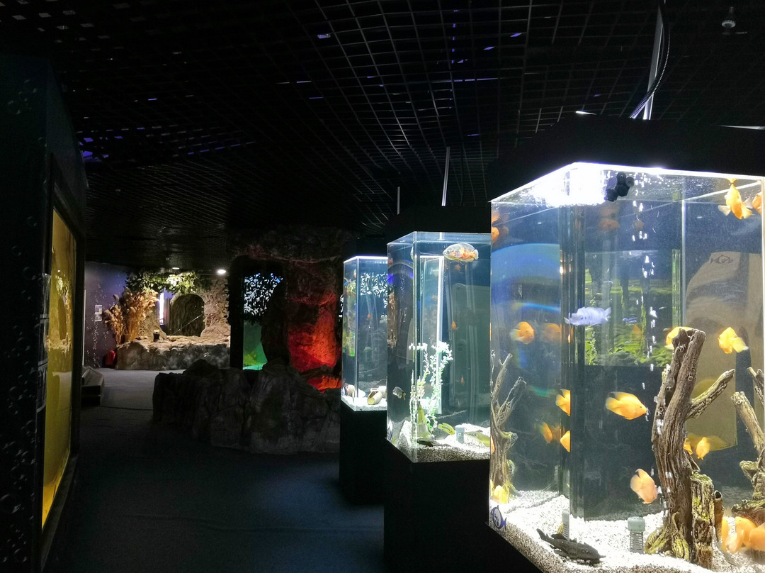 Seaquarium-伏尔加格勒必去景点