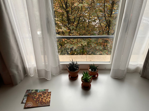 卢塞恩安克尔酒店主图