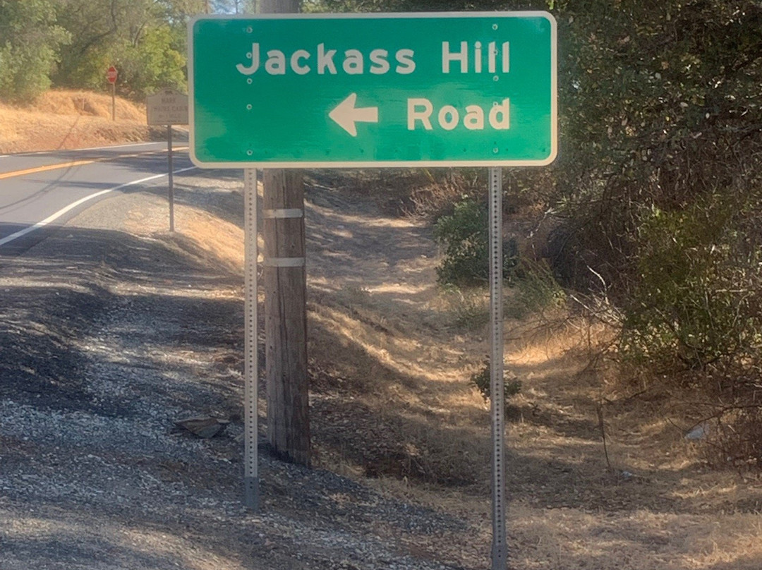 California Historical Landmark 138 - Mark Twain Cabin-Tuolumne必去景点