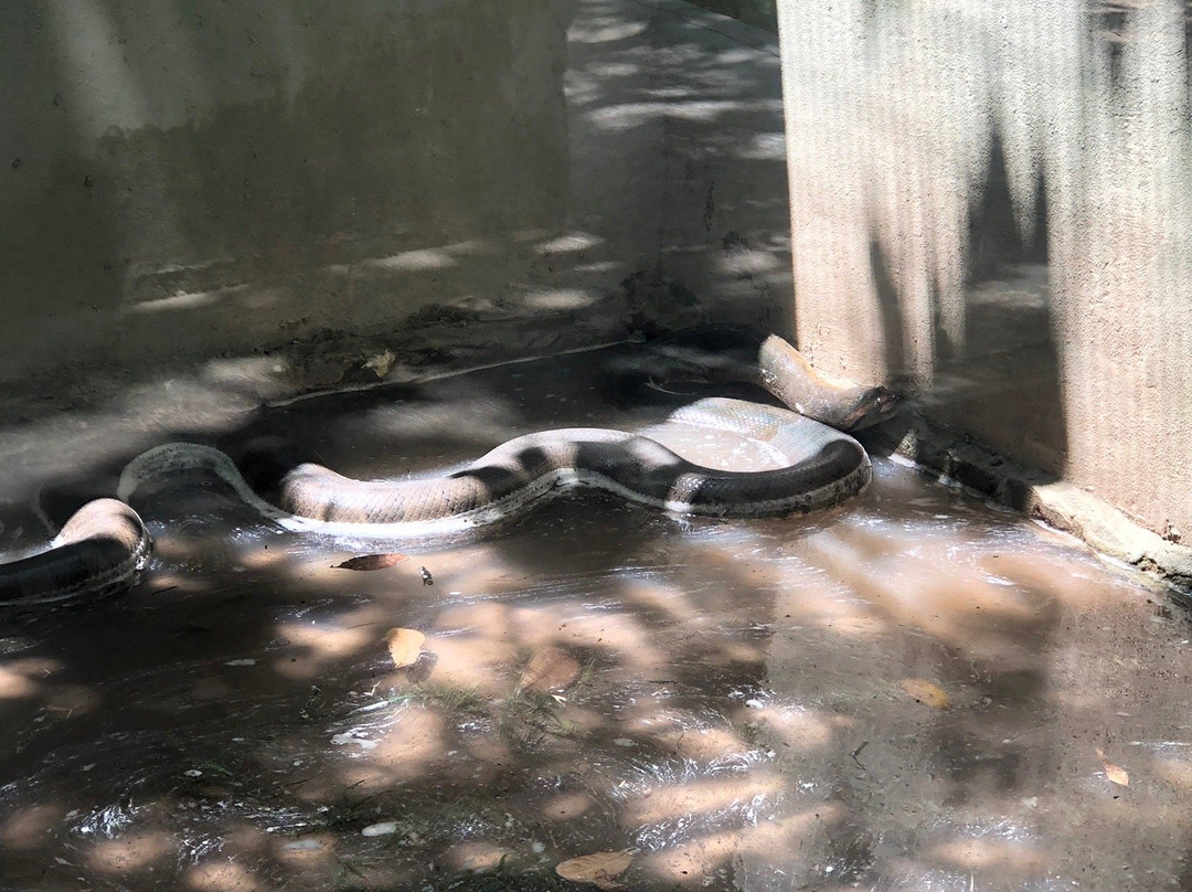 Zoologico do Batalhao do Forte Sao Joaquim-Boa Vista必去景点