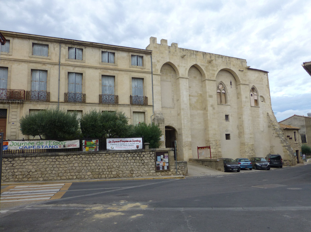 Chateau Des Archeveques De Narbonne景点图片