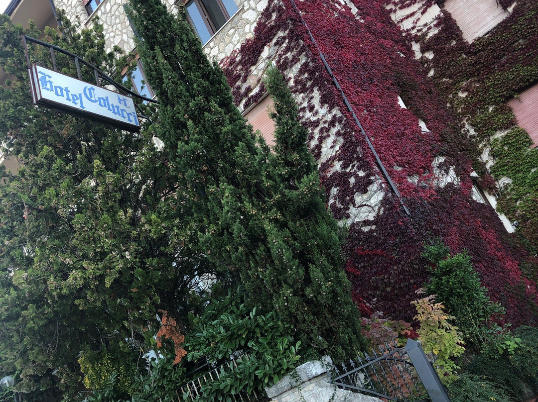 Hotel Colucci主图