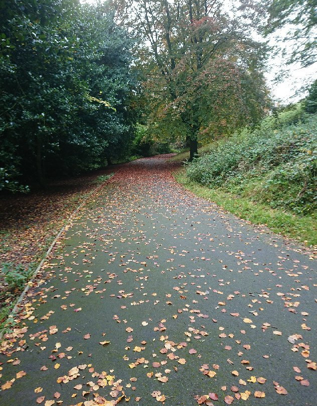 Barnes Park-桑德兰必去景点