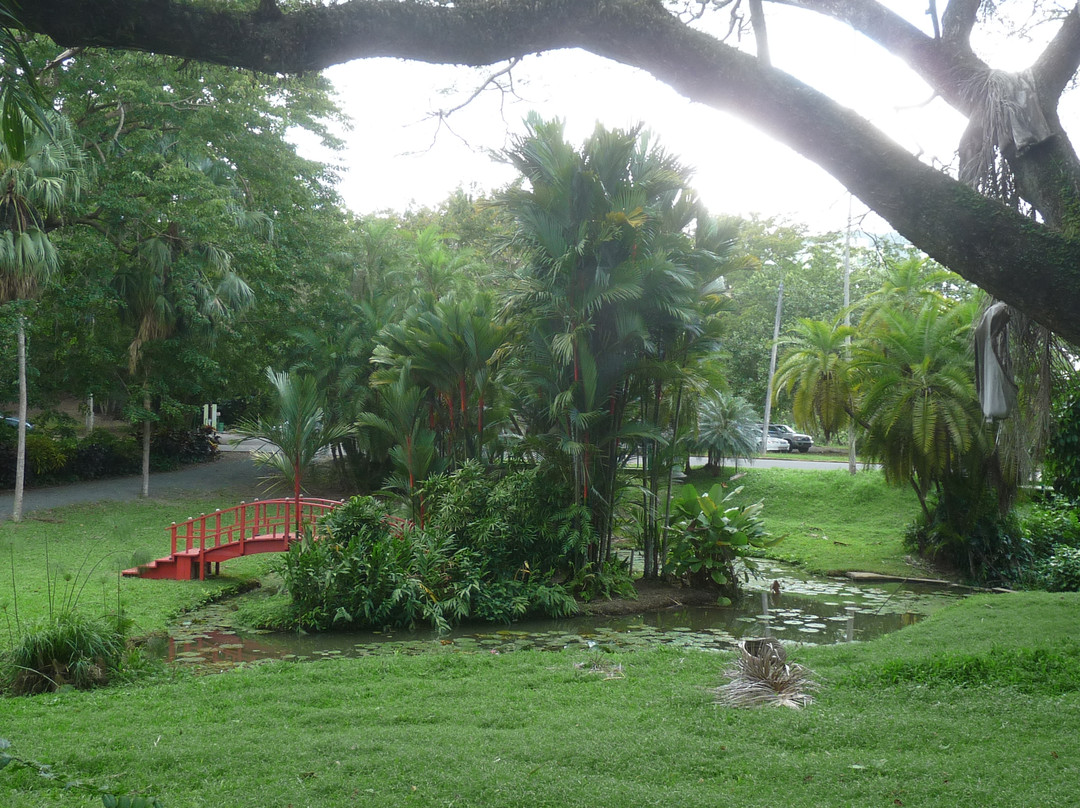Jardin Botanico景点图片