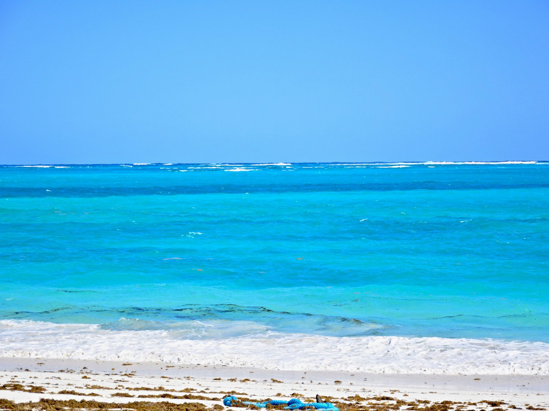 Manjack Cay景点图片