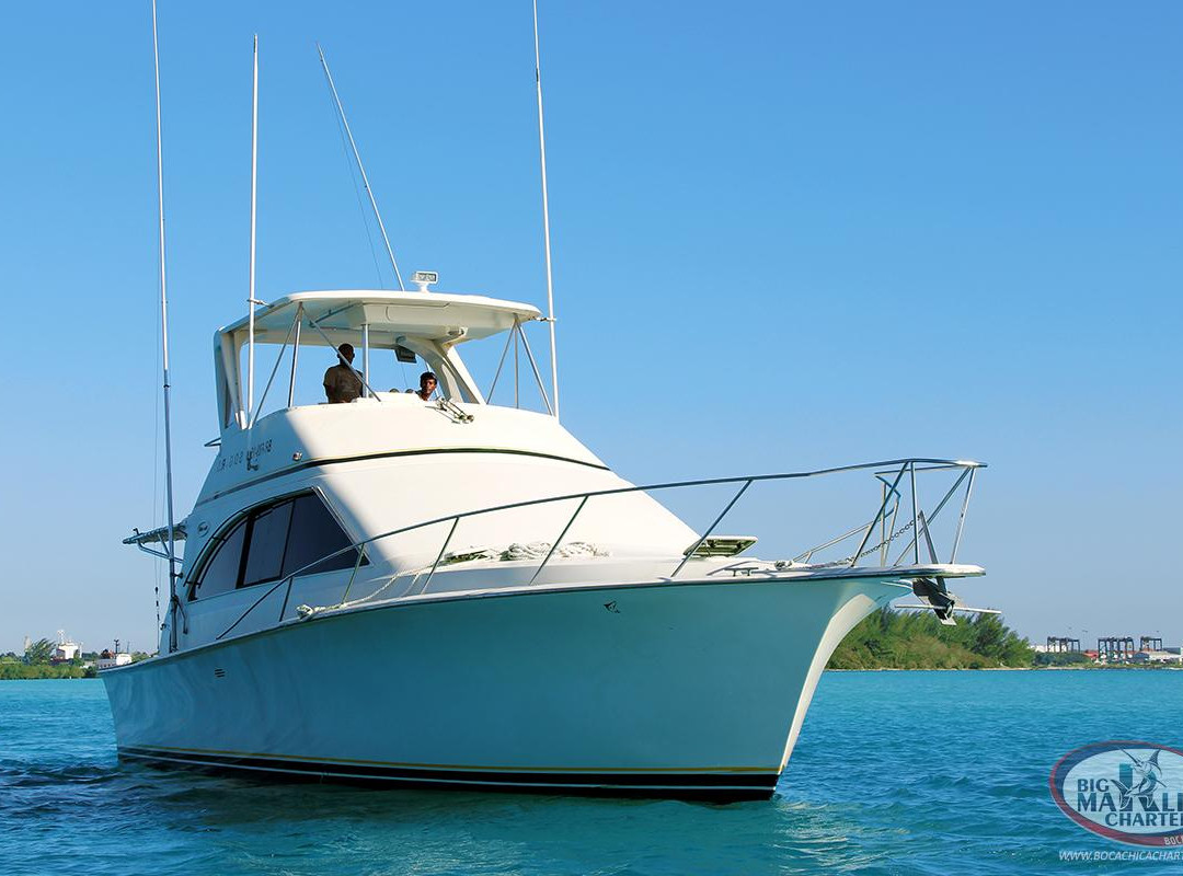 Big Marlin Charters Boca Chica-博卡奇卡必去景点