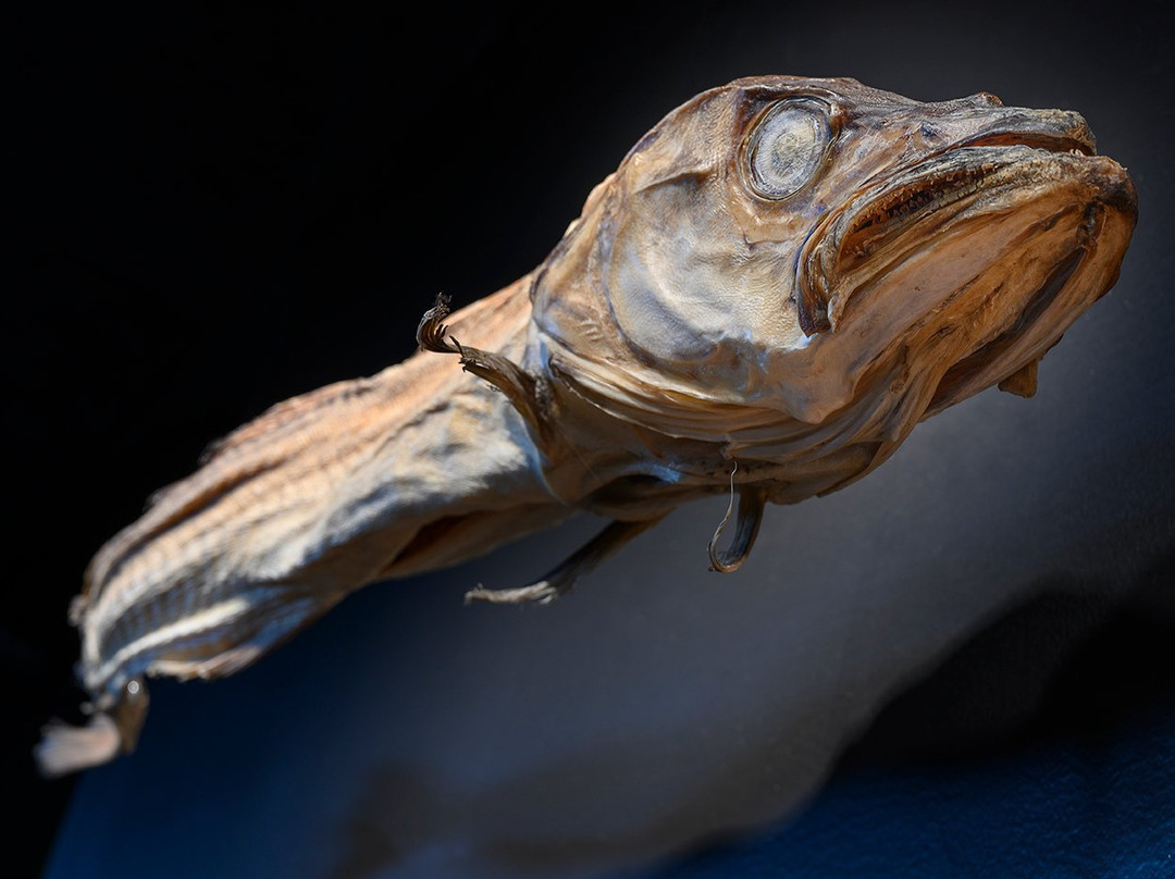 Jektefartsmuseet景点图片