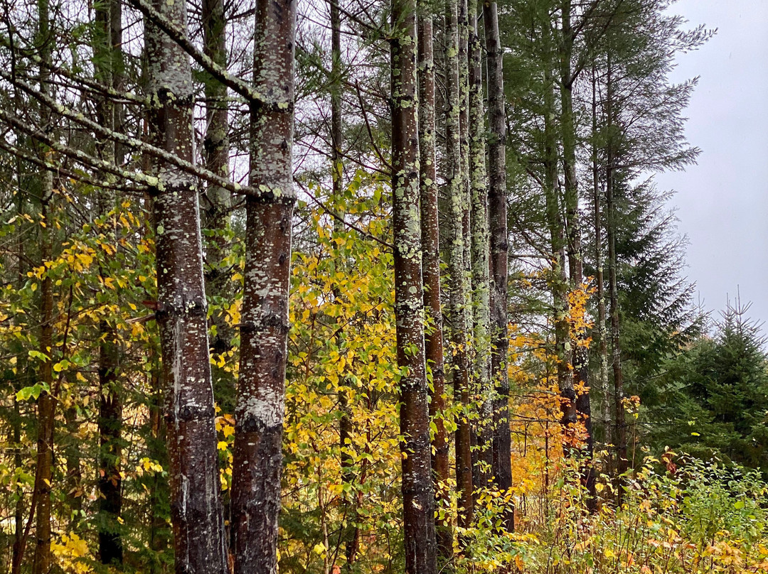 The Vermont Inn主图