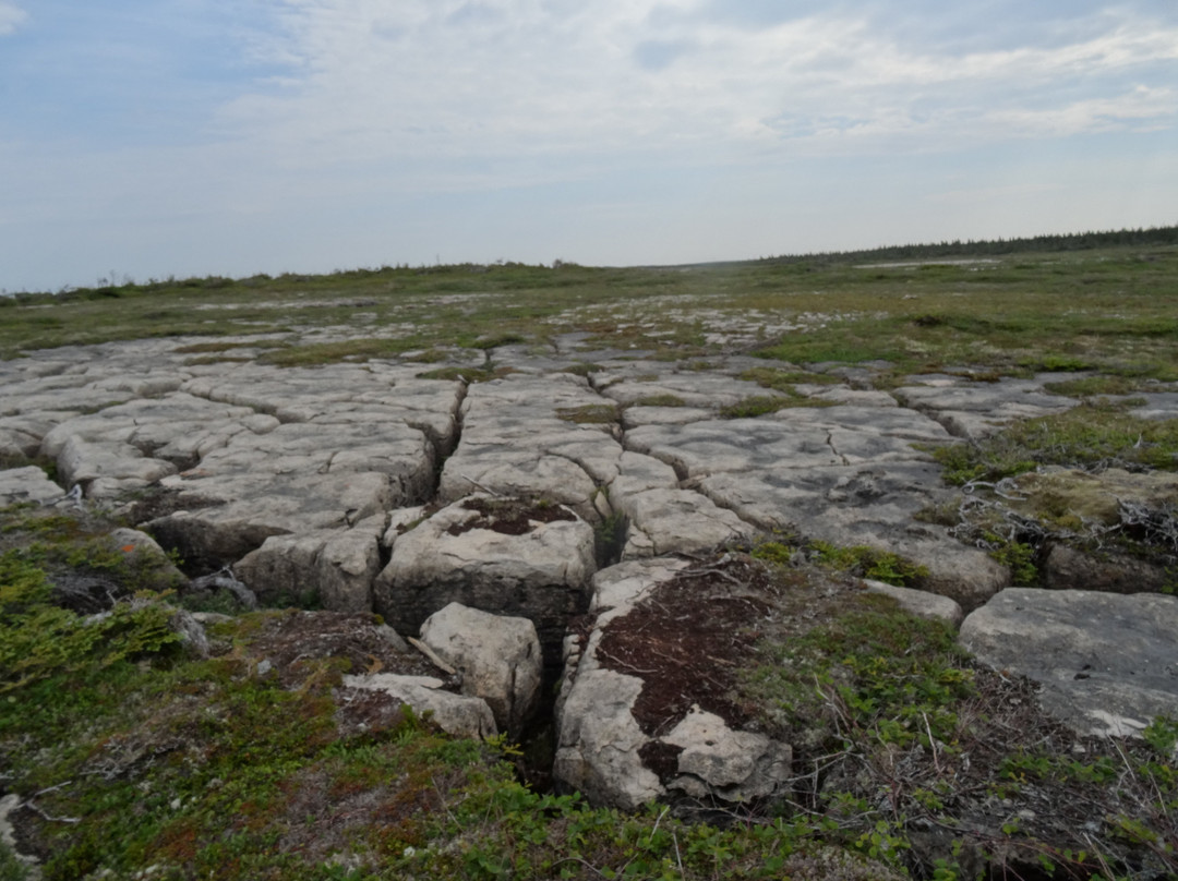 White Rock Walking Trail景点图片