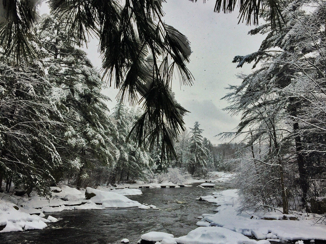 Richmond旅游景点-le Parc Historique de la Poudriere de Windsor