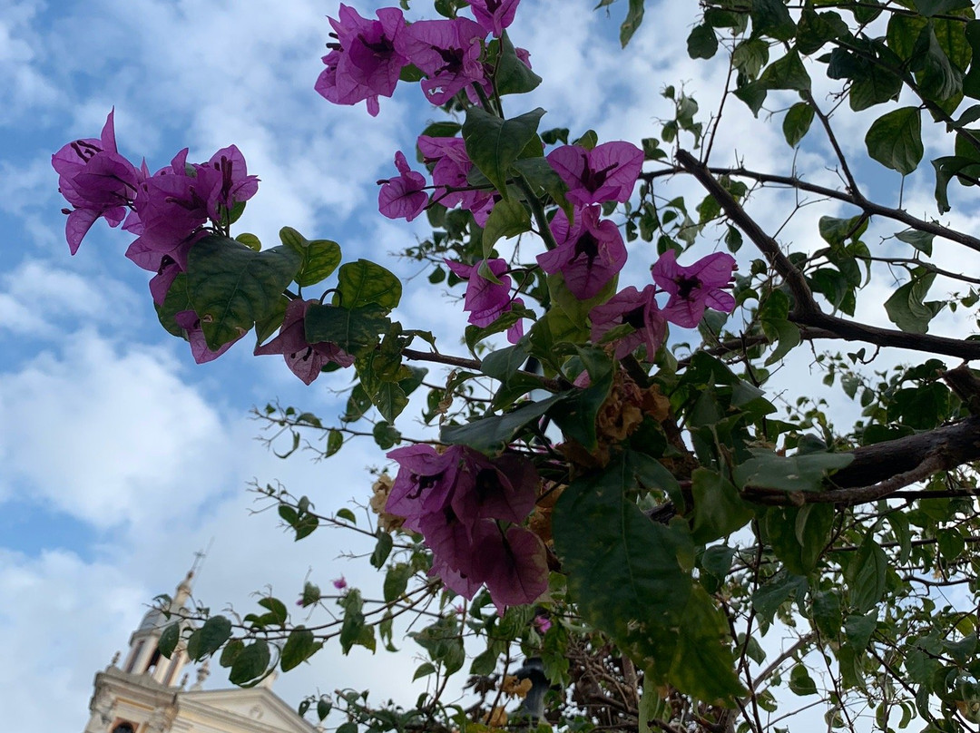 Chiesa di San Pietro di Rovereto-Zoagli必去景点